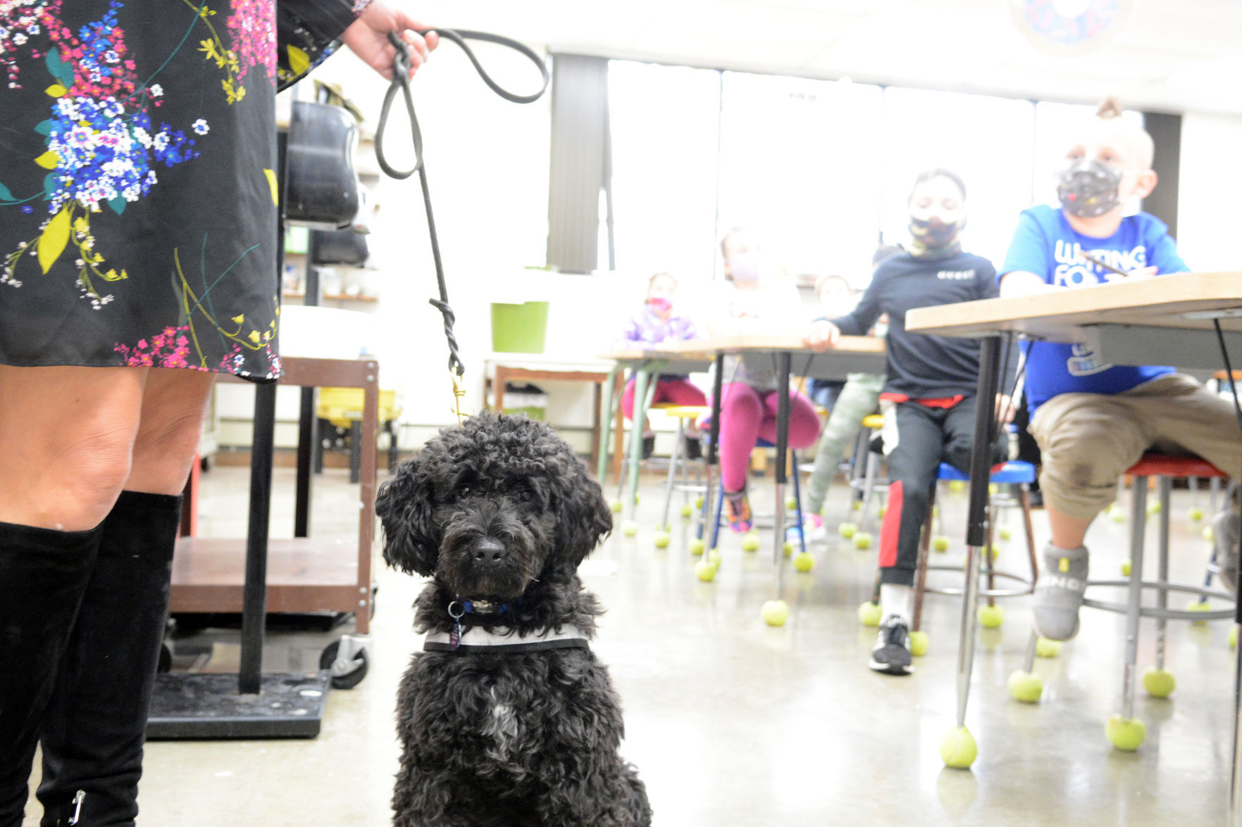 Tully visits Mrs. Fiene's class